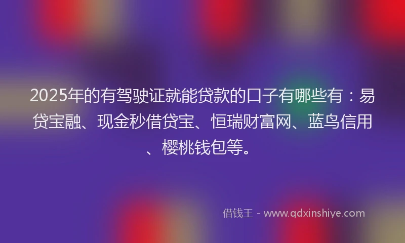 2025年的有驾驶证就能贷款的口子有哪些有：易贷宝融、现金秒借贷宝、恒瑞财富网、蓝鸟信用、樱桃钱包等。