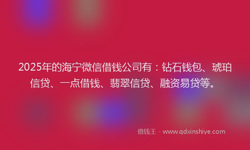 2025年的海宁微信借钱公司有：钻石钱包、琥珀信贷、一点借钱、翡翠信贷、融资易贷等。