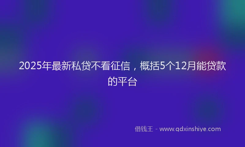2025年最新私贷不看征信,概括5个12月能贷款的平台