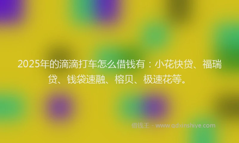2025年的滴滴打车怎么借钱有：小花快贷、福瑞贷、钱袋速融、榕贝、极速花等。
