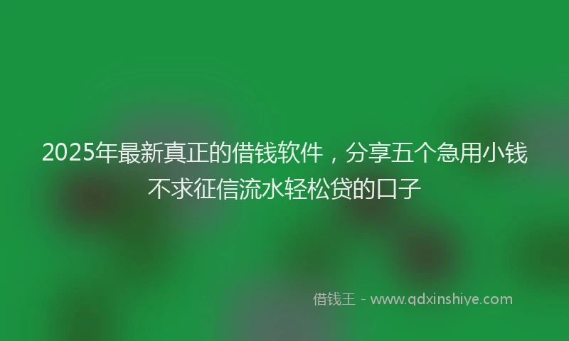 2025年最新真正的借钱软件，分享五个急用小钱不求征信流水轻松贷的口子