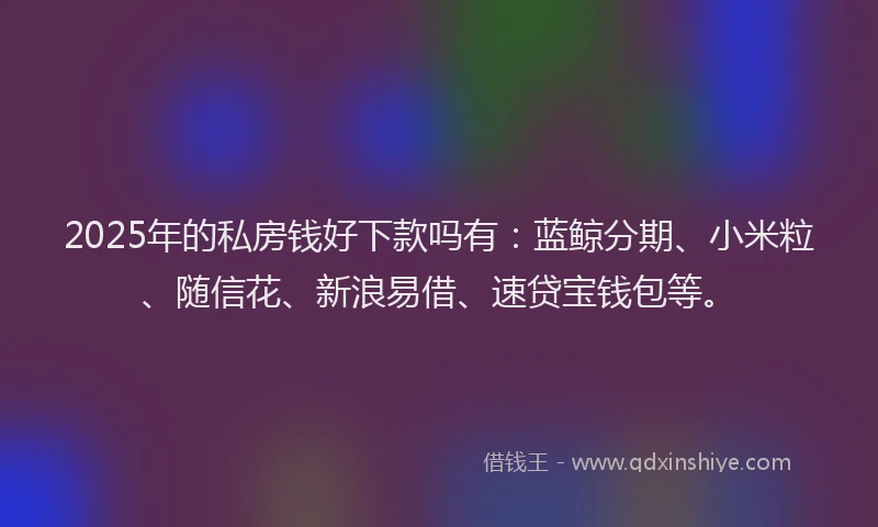 2025年的私房钱好下款吗有:蓝鲸分期、小米粒、随信花、新浪易借、速贷宝钱包等。