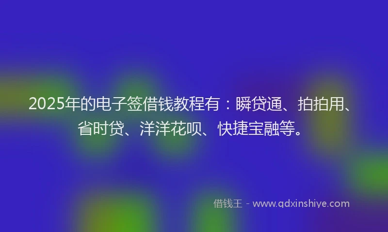 2025年的电子签借钱教程有：瞬贷通、拍拍用、省时贷、洋洋花呗、快捷宝融等。