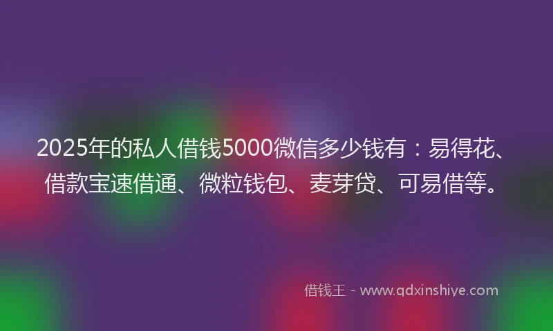 2025年的私人借钱5000微信多少钱有：易得花、借款宝速借通、微粒钱包、麦芽贷、可易借等。
