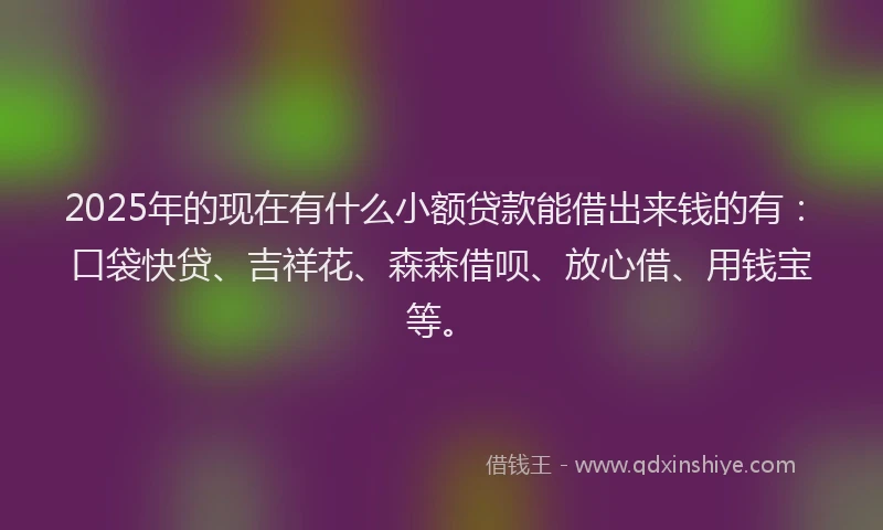 2025年的现在有什么小额贷款能借出来钱的有：口袋快贷、吉祥花、森森借呗、放心借、用钱宝等。