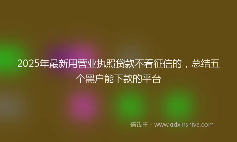 2025年最新用营业执照贷款不看征信的，总结五个黑户能下款的平台