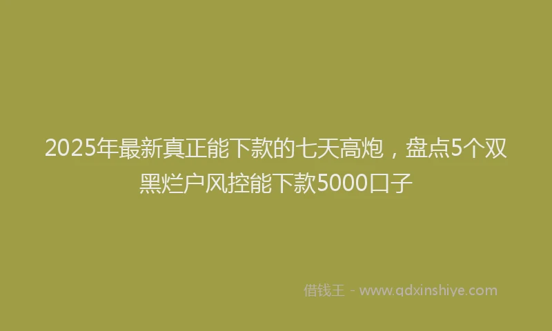 2025年最新真正能下款的七天高炮，盘点5个双黑烂户风控能下款5000口子