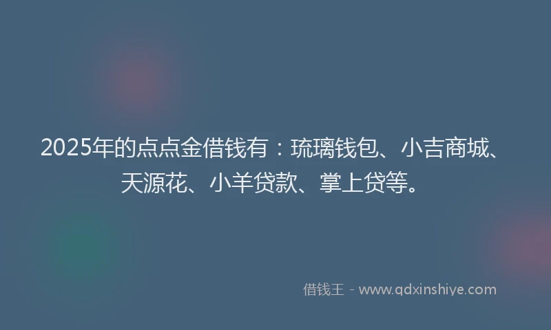 2025年的点点金借钱有:琉璃钱包、小吉商城、天源花、小羊贷款、掌上贷等。