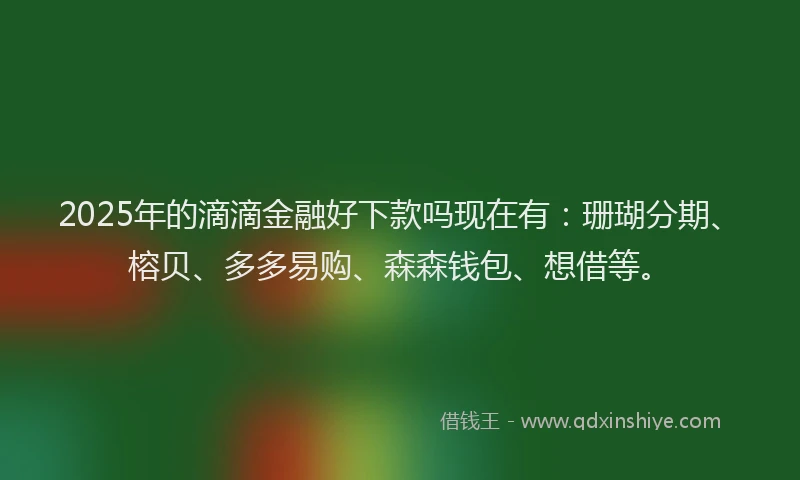 2025年的滴滴金融好下款吗现在有：珊瑚分期、榕贝、多多易购、森森钱包、想借等。