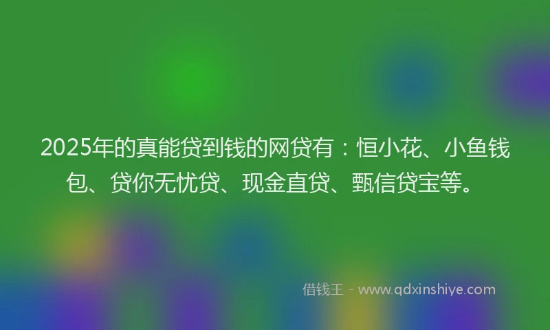 2025年的真能贷到钱的网贷有：恒小花、小鱼钱包、贷你无忧贷、现金直贷、甄信贷宝等。