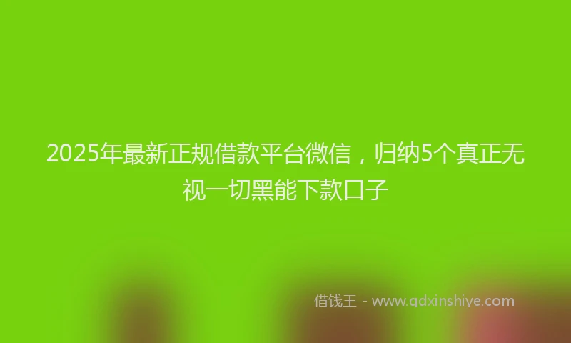 2025年最新正规借款平台微信，归纳5个真正无视一切黑能下款口子