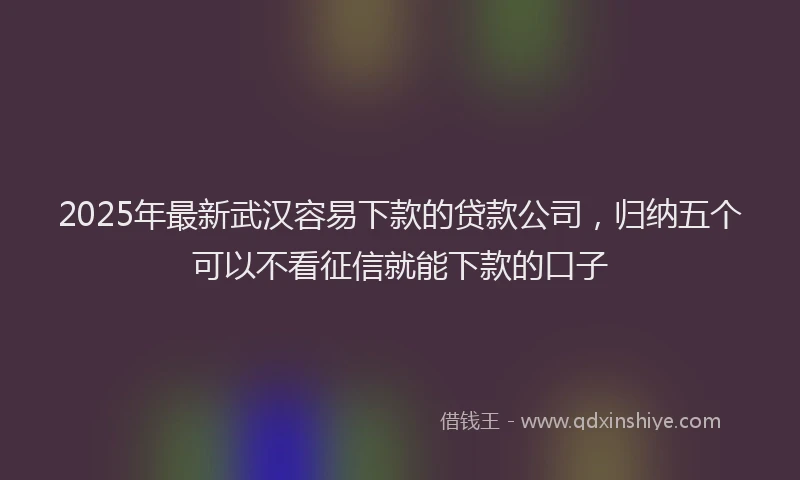 2025年最新武汉容易下款的贷款公司，归纳五个可以不看征信就能下款的口子
