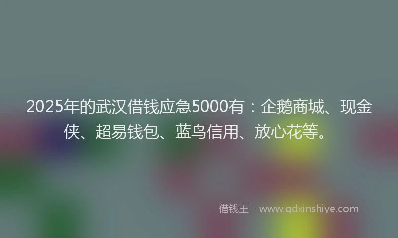 2025年的武汉借钱应急5000有：企鹅商城、现金侠、超易钱包、蓝鸟信用、放心花等。