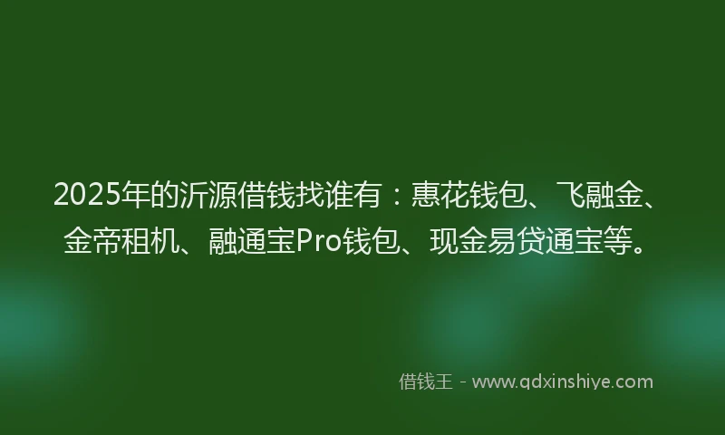 2025年的沂源借钱找谁有：惠花钱包、飞融金、金帝租机、融通宝Pro钱包、现金易贷通宝等。