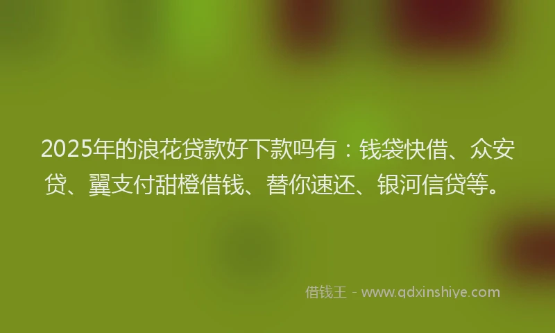 2025年的浪花贷款好下款吗有：钱袋快借、众安贷、翼支付甜橙借钱、替你速还、银河信贷等。