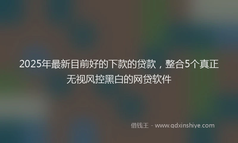 2025年最新目前好的下款的贷款，整合5个真正无视风控黑白的网贷软件