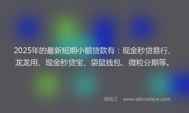 2025年的最新短期小额贷款有：现金秒贷易行、龙龙用、现金秒贷宝、袋鼠钱包、微粒分期等。