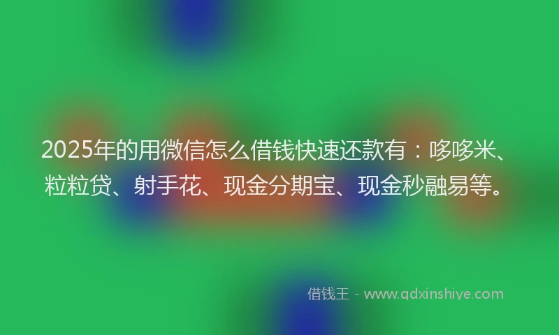 2025年的用微信怎么借钱快速还款有：哆哆米、粒粒贷、射手花、现金分期宝、现金秒融易等。