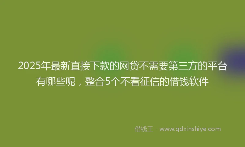 2025年最新直接下款的网贷不需要第三方的平台有哪些呢，整合5个不看征信的借钱软件