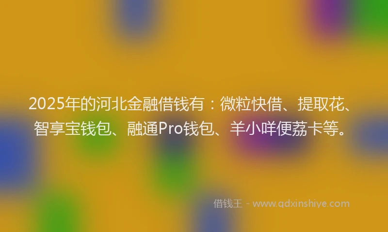 2025年的河北金融借钱有：微粒快借、提取花、智享宝钱包、融通Pro钱包、羊小咩便荔卡等。