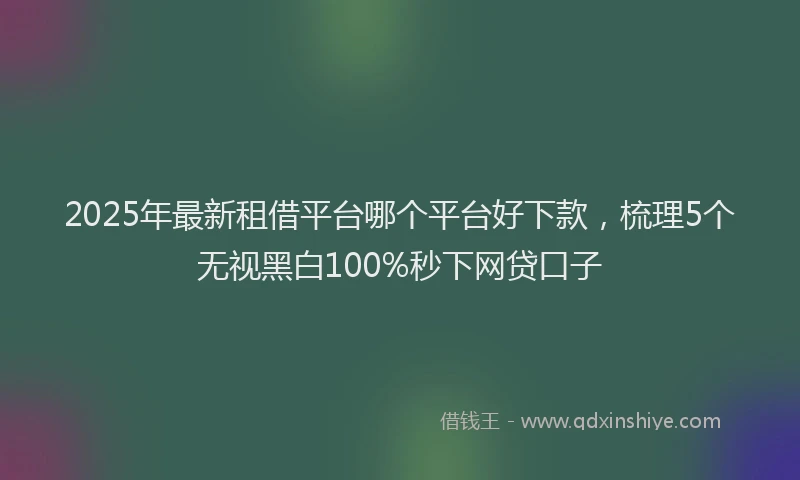 2025年最新租借平台哪个平台好下款，梳理5个无视黑白100%秒下网贷口子