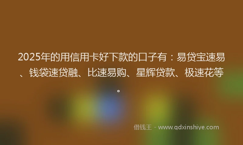 2025年的用信用卡好下款的口子有：易贷宝速易、钱袋速贷融、比速易购、星辉贷款、极速花等。
