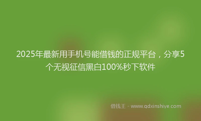 2025年最新用手机号能借钱的正规平台，分享5个无视征信黑白100%秒下软件