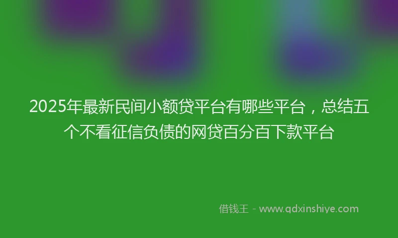 2025年最新民间小额贷平台有哪些平台，总结五个不看征信负债的网贷百分百下款平台