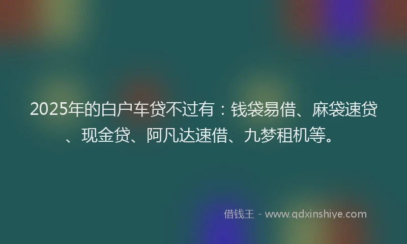 2025年的白户车贷不过有：钱袋易借、麻袋速贷、现金贷、阿凡达速借、九梦租机等。