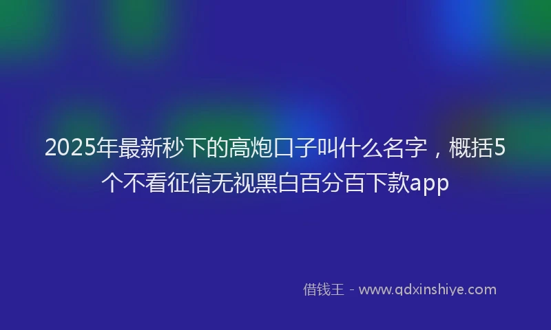 2025年最新秒下的高炮口子叫什么名字，概括5个不看征信无视黑白百分百下款app