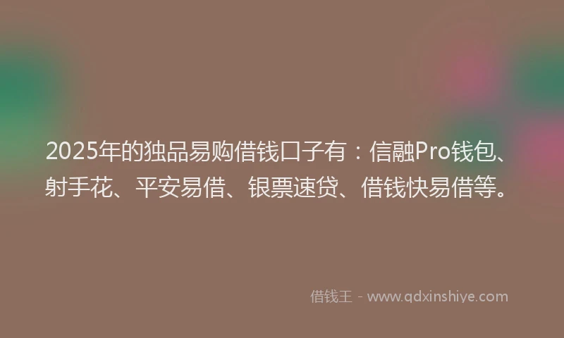 2025年的独品易购借钱口子有：信融Pro钱包、射手花、平安易借、银票速贷、借钱快易借等。