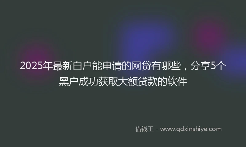 2025年最新白户能申请的网贷有哪些，分享5个黑户成功获取大额贷款的软件