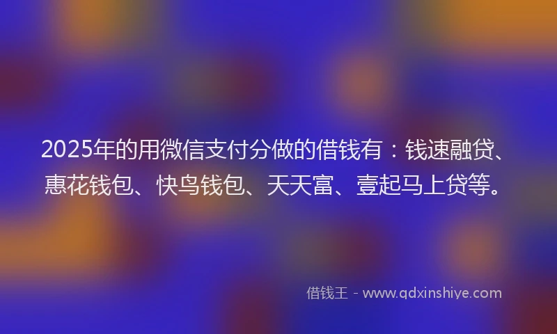 2025年的用微信支付分做的借钱有：钱速融贷、惠花钱包、快鸟钱包、天天富、壹起马上贷等。