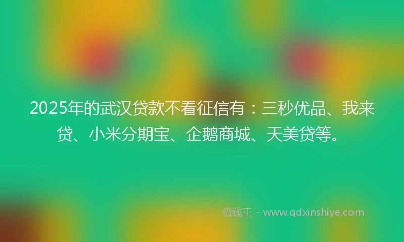 2025年的武汉贷款不看征信有：三秒优品、我来贷、小米分期宝、企鹅商城、天美贷等。