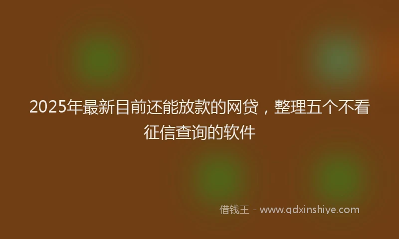 2025年最新目前还能放款的网贷，整理五个不看征信查询的软件