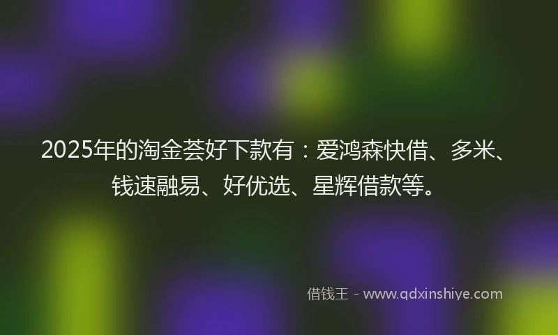 2025年的淘金荟好下款有：爱鸿森快借、多米、钱速融易、好优选、星辉借款等。