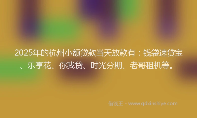 2025年的杭州小额贷款当天放款有：钱袋速贷宝、乐享花、你我贷、时光分期、老哥租机等。