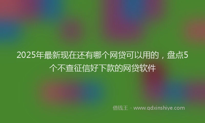 2025年最新现在还有哪个网贷可以用的，盘点5个不查征信好下款的网贷软件
