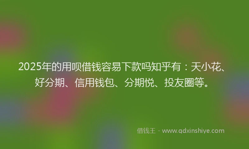 2025年的用呗借钱容易下款吗知乎有：天小花、好分期、信用钱包、分期悦、投友圈等。