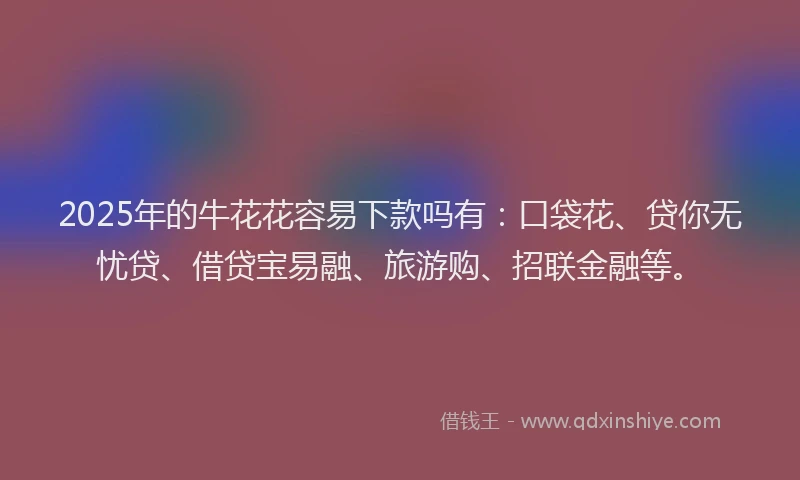 2025年的牛花花容易下款吗有：口袋花、贷你无忧贷、借贷宝易融、旅游购、招联金融等。