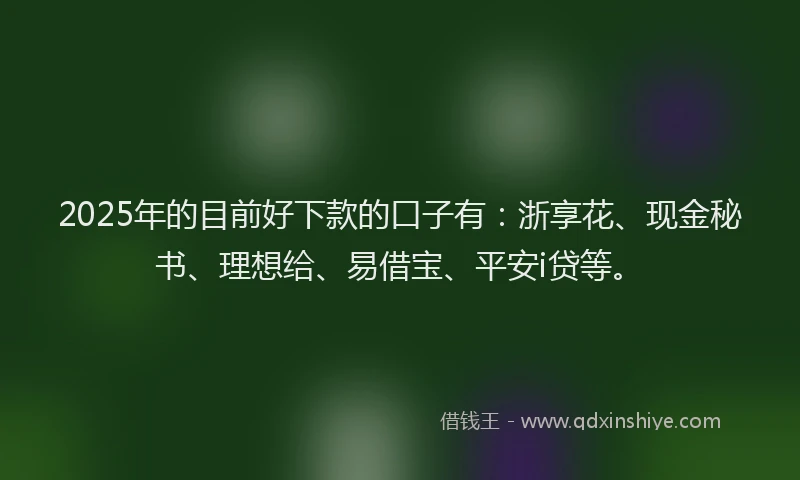 2025年的目前好下款的口子有：浙享花、现金秘书、理想给、易借宝、平安i贷等。