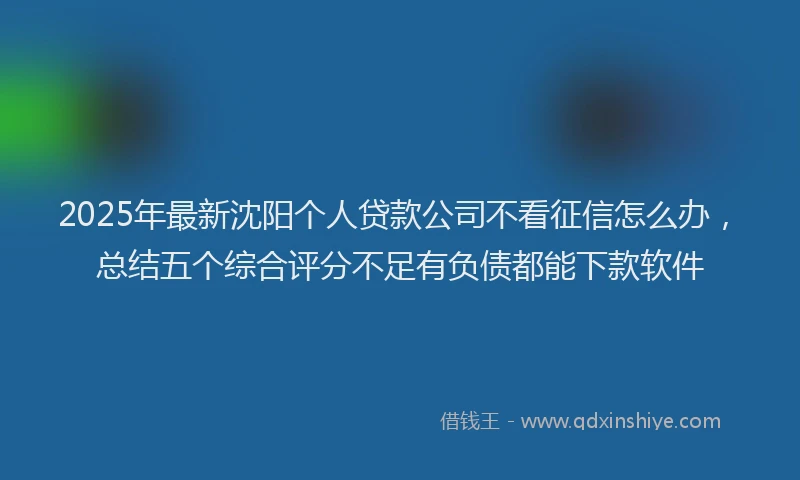 2025年最新沈阳个人贷款公司不看征信怎么办,总结五个综合评分不足有负债都能下款软件