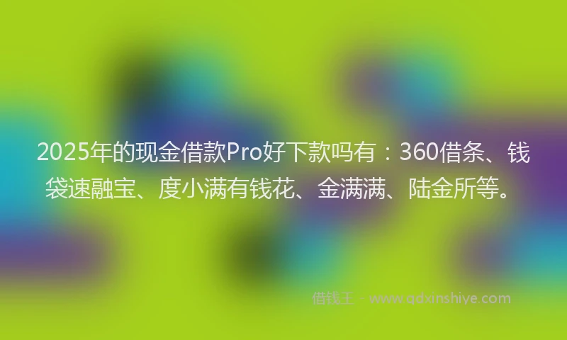 2025年的现金借款Pro好下款吗有：360借条、钱袋速融宝、度小满有钱花、金满满、陆金所等。
