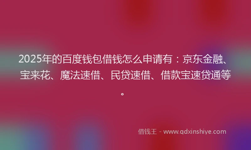 2025年的百度钱包借钱怎么申请有：京东金融、宝来花、魔法速借、民贷速借、借款宝速贷通等。