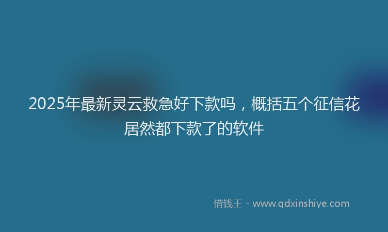 2025年最新灵云救急好下款吗，概括五个征信花居然都下款了的软件