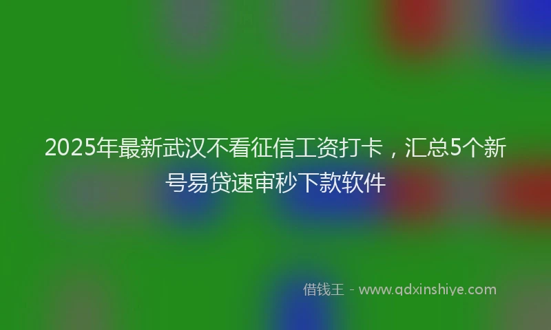2025年最新武汉不看征信工资打卡，汇总5个新号易贷速审秒下款软件