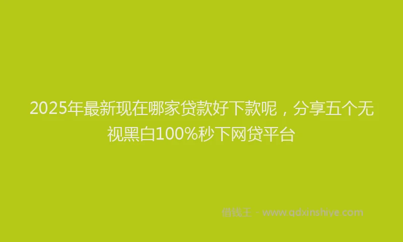 2025年最新现在哪家贷款好下款呢，分享五个无视黑白100%秒下网贷平台
