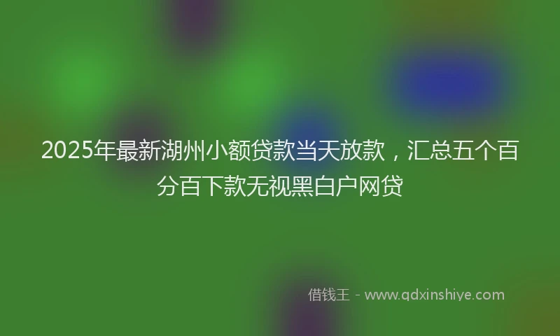 2025年最新湖州小额贷款当天放款，汇总五个百分百下款无视黑白户网贷