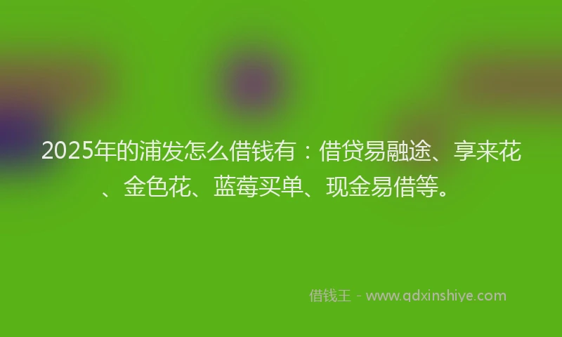 2025年的浦发怎么借钱有：借贷易融途、享来花、金色花、蓝莓买单、现金易借等。