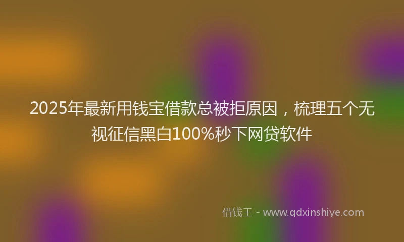 2025年最新用钱宝借款总被拒原因，梳理五个无视征信黑白100%秒下网贷软件